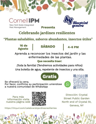 BluePrint Geneva event- spanish