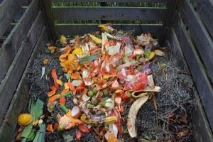 Compost in Bins
